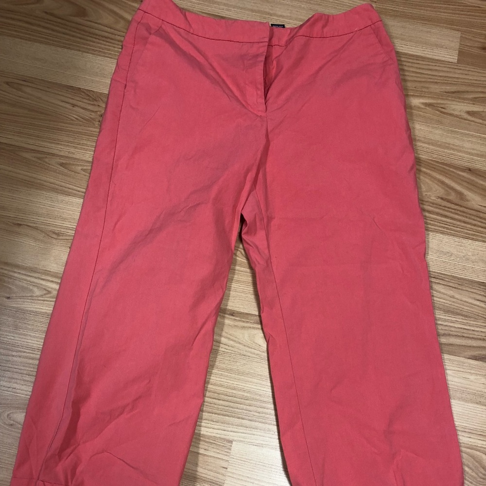 Size 10 New York and Company capris